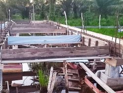 Pembangunan Sekolah Baru SMKN 3 Ketapang Terhenti Akibat Kendala Tanah Rawa dan Banjir