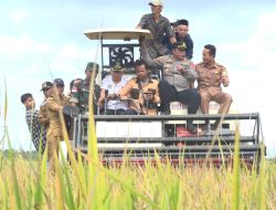 Panen Padi, Bupati Sambas Beri Apresiasi Poktan Salatiga