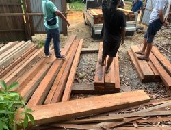 Polisi Tangkap 3 Orang Pelaku Ilegal loging di Sandai, 50 Batang Kayu Ulin Turut Diamankan