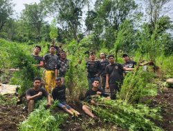9 Jam Berjalan Kaki, Kapolres Empat Lawang Temukan 2 HA Ladang Ganja