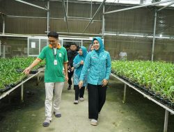 Pj Ketua TP-PKK Provinsi Sumatera Utara Bersama Ketua TP PKK Asahan Kunjungi PT. Hijau Surya Biotechindo