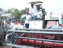 Bupati Asahan Dampingi Pj Gubernur Sumatera Utara Tanam Cabai di Desa Serdang