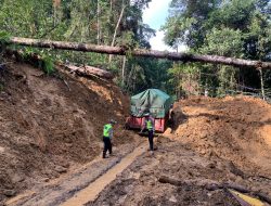 Longsor Kembali Tutup Jalur Liwa-Krui