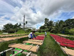 Hujan jadi Kendala Pengrajin Dupa di Kubu Raya, Kalimantan Barat