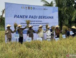 BI Kalbar Dampingi Petani untuk Menjaga Ketersediaan Pangan seperti Komoditas Beras