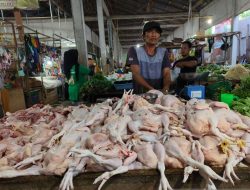 Harga Beras di Bengkayang Stabil