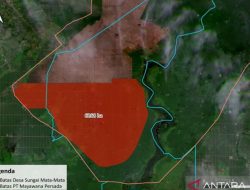 NGO Kalbar Desak Cabut Izin PT Mayawana Persada, Ancaman bagi Hutan dan Komunitas