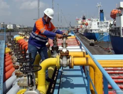 Harga CPO Naik Per April 2024