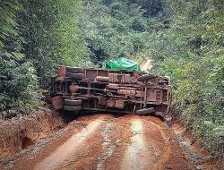 Truk Pengangkut 6,9 Ton Beras Bulog Ketapang Terguling di Tengah Perjalanan