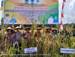 Forkopimda PALI Gelar Panen Raya Bersama