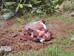 Bayi Perempuan Ditemukan Tak Bernyawa di Seponti KKU