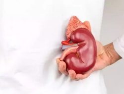 Sebelum Mudik, Dokter Sarankan Konsultasi bagi Penderita Ginjal