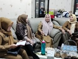 Wujudkan Lansia Sehat dan Mandiri, Pemkab Banyuasin Bentuk Sekolah Lansia