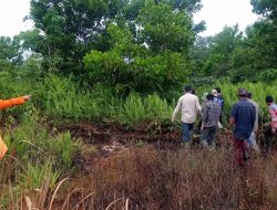Pamit ke Kebun, Lansia di Mempawah Dikabarkan Hilang