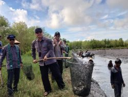 Panen Bandeng Udang Kelompok Budidaya Ikan Dampingan CUPS