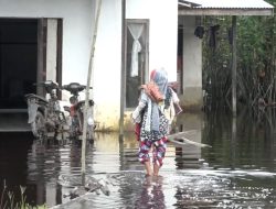 Kubu Raya Perpanjang Status Darurat Batingsor