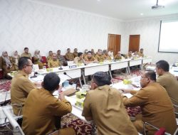 Hani S Rustam Minta Perayaan HUT Kabupaten Banyuasin Ke-22 Memberi Kesan Bagi Masyarakat
