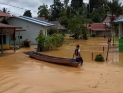 3  Kecamatan di Melawi, Kalimantan Barat Terendam Banjir, Akses Jalan dan Jembatan Putus