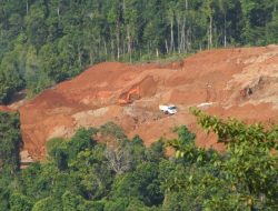 Ohongana Manyawa Penjaga Hutan yang Terancam Tambang di Halmahera