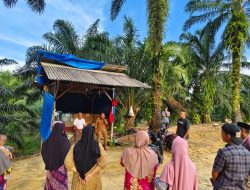 Resahkan Warga, Pemuda Minta Ternak Ayam Potong di Desa Lae Pemualan Ditutup