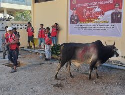 Idul Adha 1445 H, Polda NTT Sembelih Puluhan Ekor Hewan Kurban 