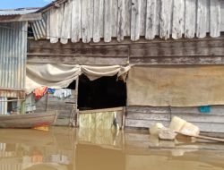 Sepekan Banjir Rendam  Kuala Mandor B Kabupaten Kubu Raya
