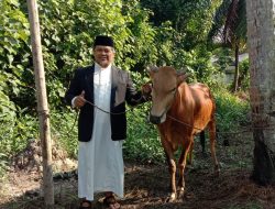 Wujudkan Ketaqwaan dan Kepedulian Sosial LDII Kalimantan Barat Tebar Kurban 337 Ekor