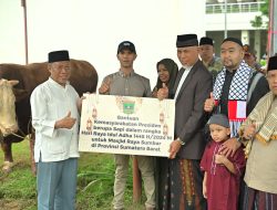Gubernur Sumbar Serahkan Sapi Qurban Presiden RI serta 78 Ekor Sapi Qurban ASN dan BUMD