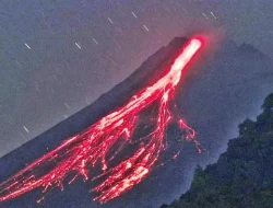Gunung Merapi Muntahkan Guguran Lava Sejauh 2.000 Meter Sebanyak 14 Kali