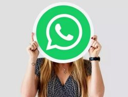 WhatsApp Uji Coba Fitur Terjemahan Pesan Secara Offline