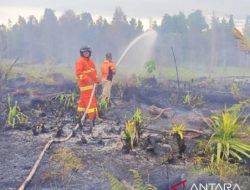 Kapuas Hulu Hadapi 12 Titik Panas di Awal Juli 2024