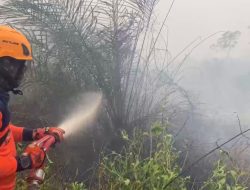 Angin Kencang Karhutla di Kubu Raya Kalbar Terus Meluas