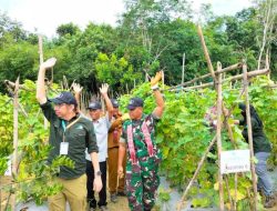 Desa Sibau Hulu dan Tanjung Lasa Kapuas Hulu Jadi Contoh Pertanian Tanpa Bakar