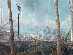 BPBD Bengkayang Terbitkan Status Siaga Karhutla
