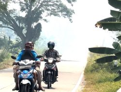 Kualitas Udara Sangat Tidak Sehat Warga Kubu Raya Disarankan Tidak Keluar Rumah