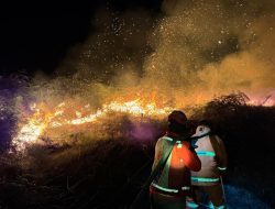 Walhi Kalbar: Pemerintah Harus Tanggap Bencana Asap Karhutla