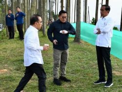 Jokowi Ajak Pengusaha Lokal Berperan di IKN