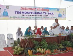 Wakil Bupati Asahan Sambut Tim Evaluasi Penilaian Lomba TP. PKK Provsu Lakukan Penilaian Kepada Desa Sei Halim