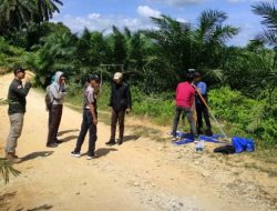 Dugaan Korupsi PSR di Aceh Singkil, Kejari Turun Lapangan Melakukan Pemeriksaan
