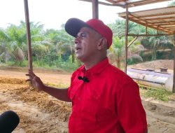 Tanahnya Dijual Secara Sepihak, Pemilik Kebun di Melawi Dilaporkan ke Polisi