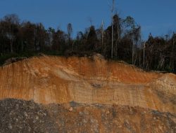 Ormas Keagamaan Kelola Tambang Batu Bara, Untung atau Buntung ?