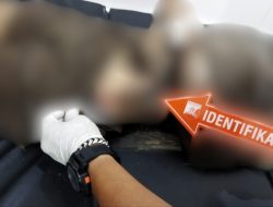 Diduga Tersengat Listrik, Pekerja di Kubu Raya Ditemukan Tak Bernyawa