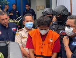 Berpura-pura Jadi Pembeli, Tim Gakkum Kalbar Amankan Pelaku Perdagangan Anak Orangutan