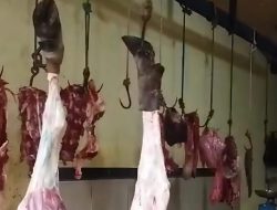 Penjualan Daging Sapi Lokal di Ketapang Anjlok Drastis