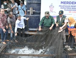 Gubernur Sumbar Lepas Ekspor 11 Ton Ikan Kerapu Sumbar Menuju Hongkong