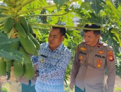 Bupati Sekadau Apresiasi Polsek Nanga Taman dalam Mengelola Lahan Produktif