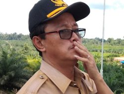 Pemkab Sekadau Fokus Tingkatkan Produksi Perkebunan Sawit