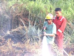 Awal September Karhutla di Kalbar Akan Muncul Kembali