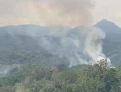 Minim Curah Hujan, Ribuan Titik Api Terpantau di Kalbar