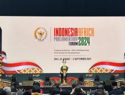 DPR RI Dorong Penguatan Kemitraan Indonesia-Afrika di Tengah Tantangan Global